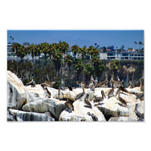 Dana Point Foto Afdruk