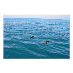 Dana Point Foto Afdruk