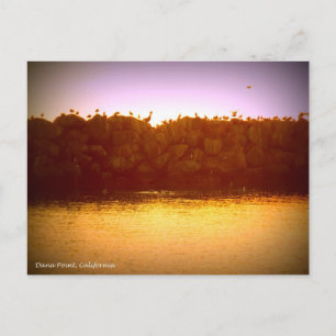 Dana Point Sunset Briefkaart
