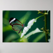 Dana Print (Voorkant)