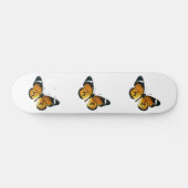 Danaus chrysippus - The Plain Tiger, African Queen Skateboard (Horizontaal)