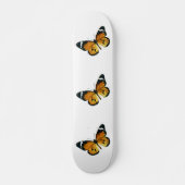 Danaus chrysippus - The Plain Tiger, African Queen Skateboard (Voorkant)