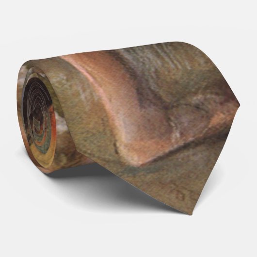 Dance Examination by Edgar Degas, Ballet Stropdas (Opgerold)