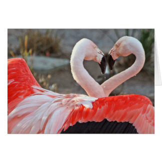 Dance of Love