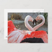 Dance of Love Briefkaart (Voorkant / Achterkant)