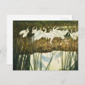 Dance of the Whooping Cranes, 1939 by N.C. Wyeth Briefkaart (Voorkant / Achterkant)