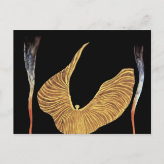 Dancer Loie Fuller van Moser Koloman (beste tweeta Briefkaart
