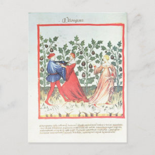 Dancers voor Broom Planten, 13e eeuw Briefkaart