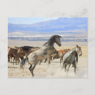 Dances met handschoenen briefkaart