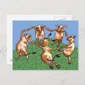 Dancing cows briefkaart (Voorkant / Achterkant)