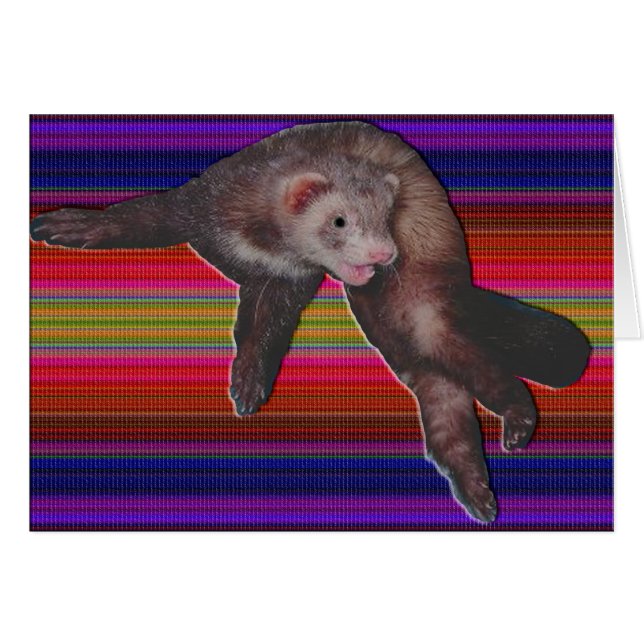 Dancing Ferret (Voorkant Horizontaal)