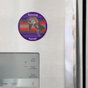 Dancing Ferret Magnet Magneet