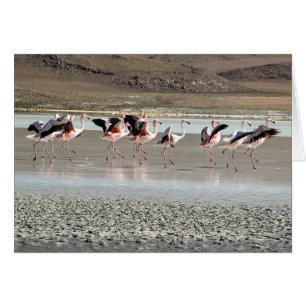 Dancing Flamingo Birds on Ice Greeting Card