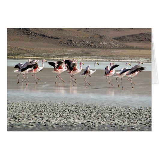 Dancing Flamingo Birds on Ice Greeting Card (Devant Horizontal)