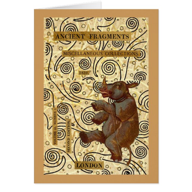 Dancing Rhino (Voorkant)