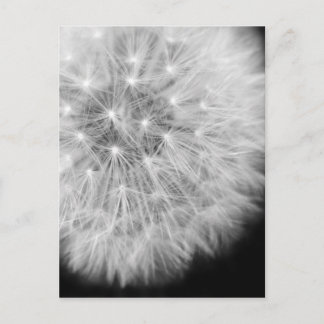 Dandalion Briefkaart