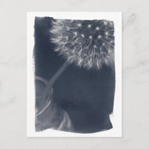 Dandalion Coffee Cyanotype Briefkaart