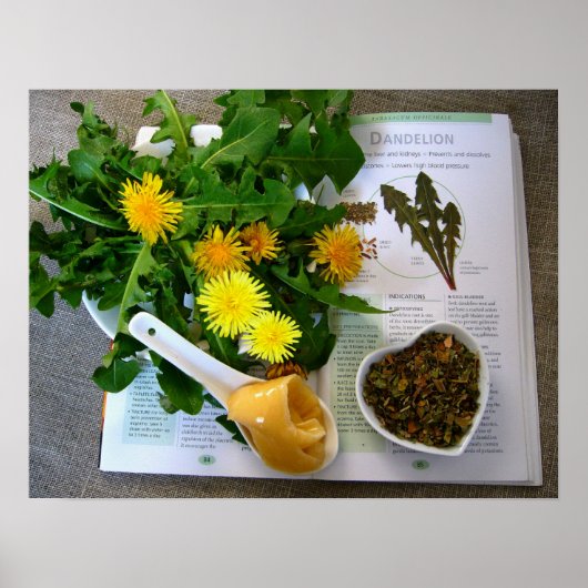 DANDELIERS POUR LA SANTÉ ~ Poster (Devant)