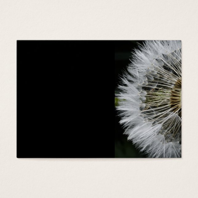 Dandelion (Devant)