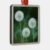 Dandelion 2 metalen ornament (Rechts)