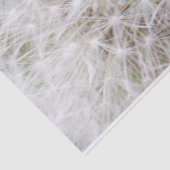 Dandelion 9668 tissuepapier (Detail)