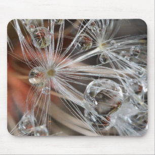 Dandelion Abstract Muismat