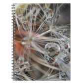 Dandelion Abstract Notitieboek (Voorkant)