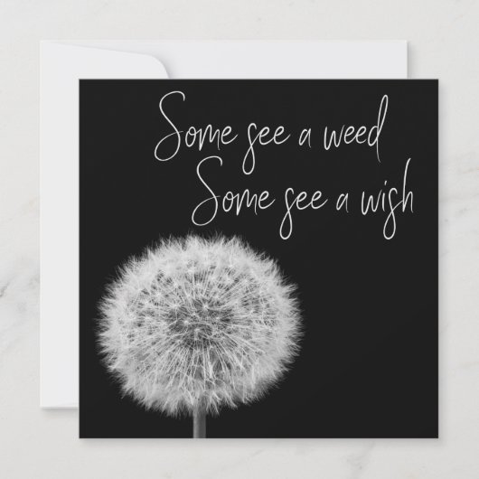 Dandelion Black White closeup foto inspirerend (Voorkant)