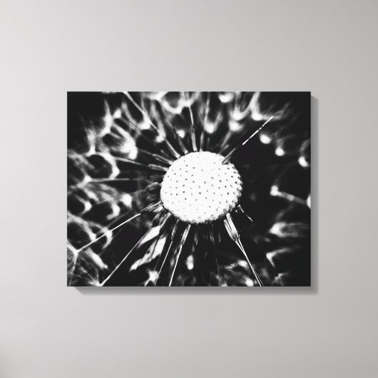 dandelion blacq canvas afdruk (Voorkant)