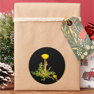 Dandelion blooming botanisch ronde sticker