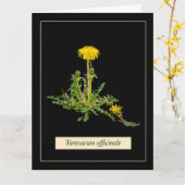 Dandelion botanical kaart (Gele Bloem)