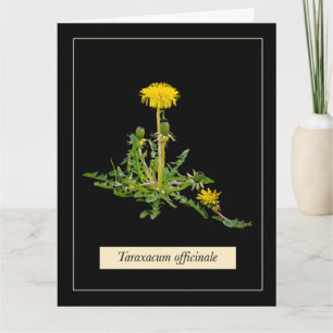 Dandelion botanical kaart