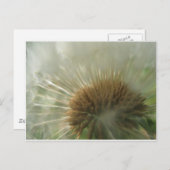 dandelion briefkaart (Voorkant / Achterkant)