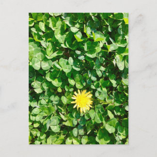 dandelion briefkaart