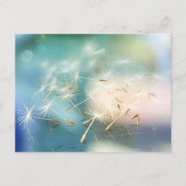 Dandelion Briefkaart
