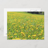 Dandelion Briefkaart (Voorkant / Achterkant)