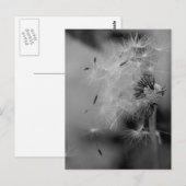 Dandelion Briefkaart (Voorkant / Achterkant)