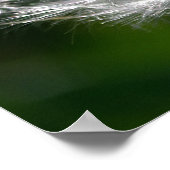 Dandelion brillant - Poster (Coin)