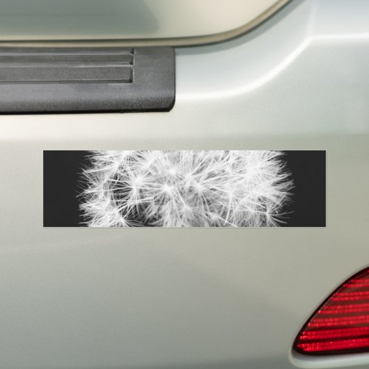 Dandelion Bumpersticker (Op auto)