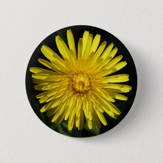 Dandelion Button (Voorkant)