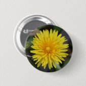Dandelion Button (Voorkant /achterkant)