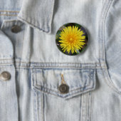 Dandelion Button (In situ)