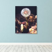 Dandelion Canvas Afdruk (Insitu (Houten vloer))