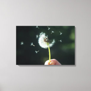 Dandelion Canvas Afdruk