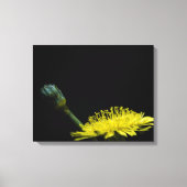 Dandelion Canvas Afdruk (Voorkant)