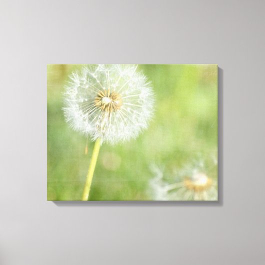 Dandelion Canvas Afdruk (Voorkant)