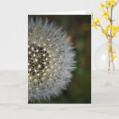 Dandelion, carte (Fleur jaune)