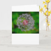 Dandelion, carte (Fleur jaune)
