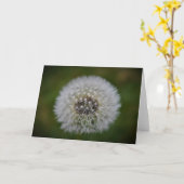 Dandelion, carte (Fleur jaune)