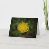 Dandelion, carte (Devant)